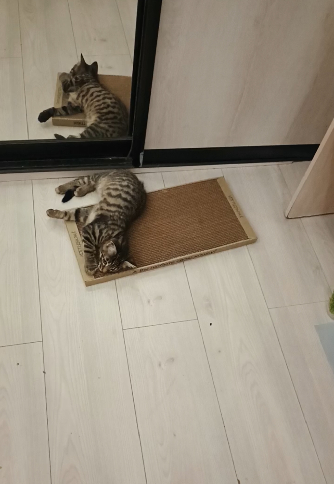 Ксюша, Озёрск