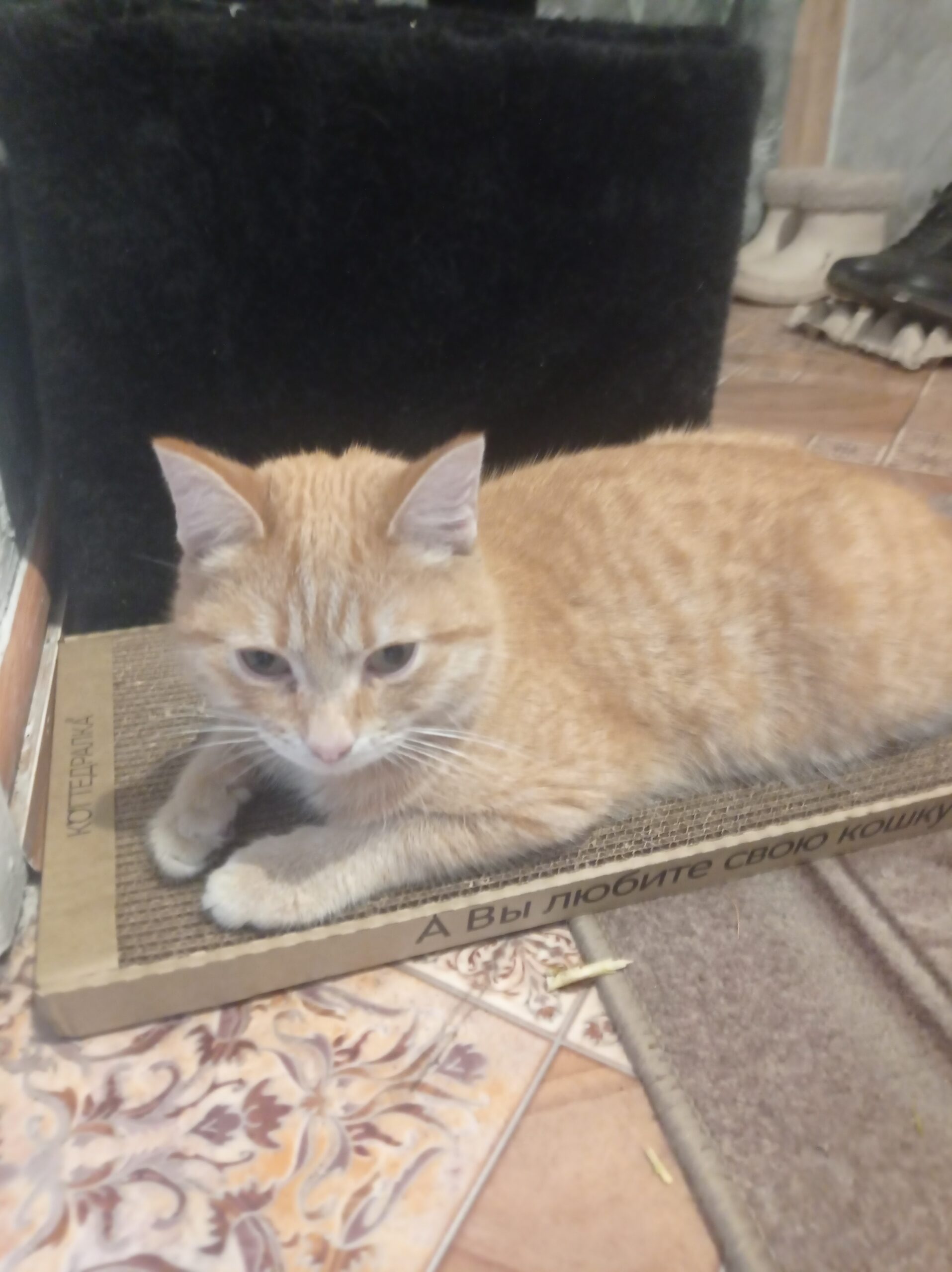 Позднякова Алина Александровна, Кемеровская область промышленновский район село Титово