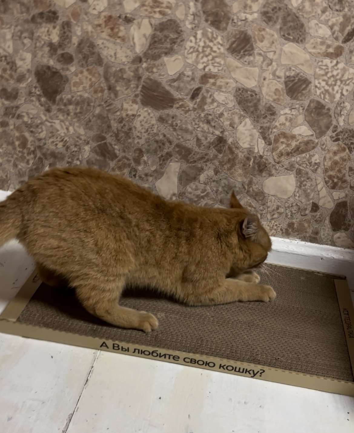 Анастасия , Екатеринбург