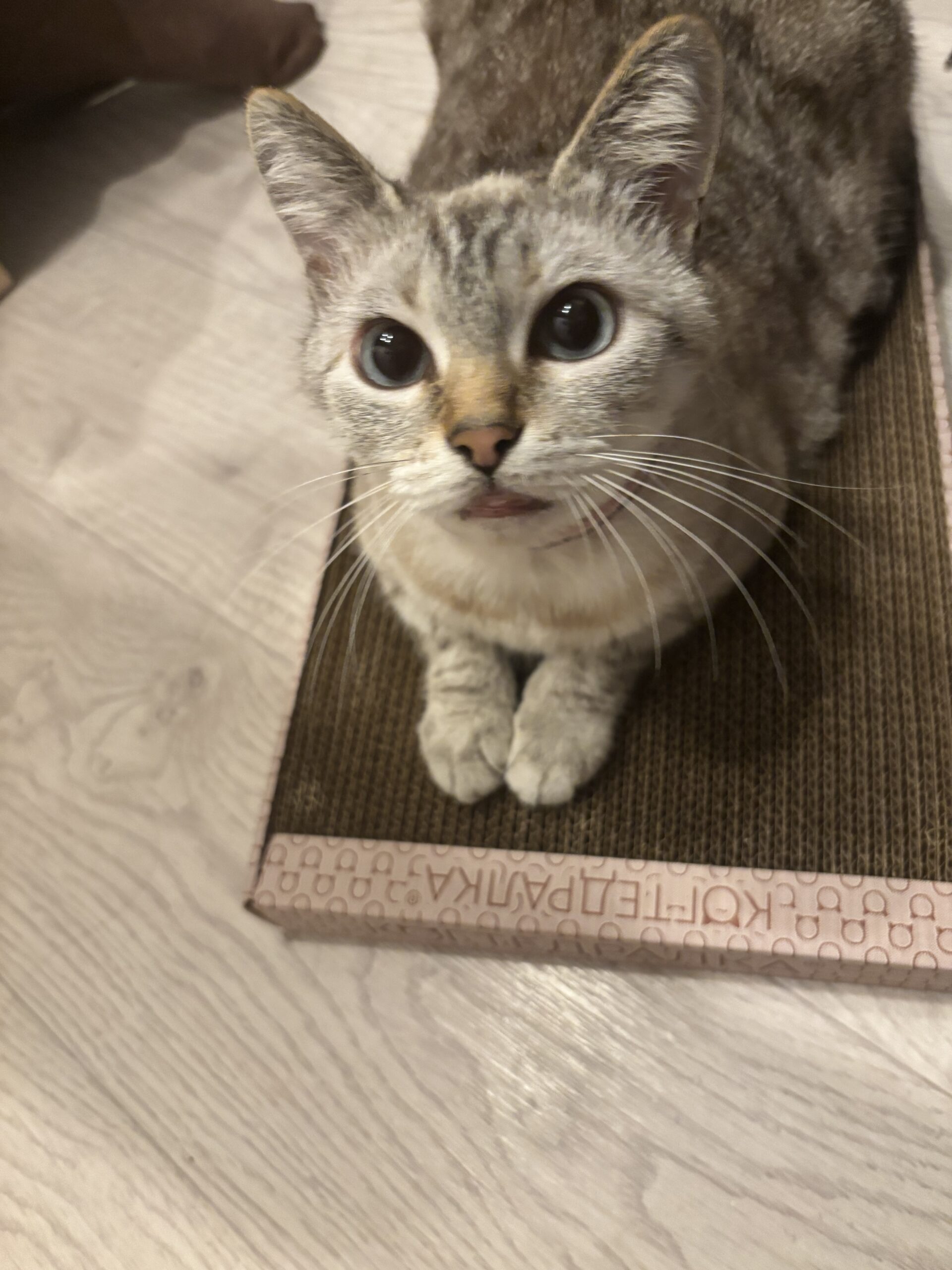 Зульфия, Уфа