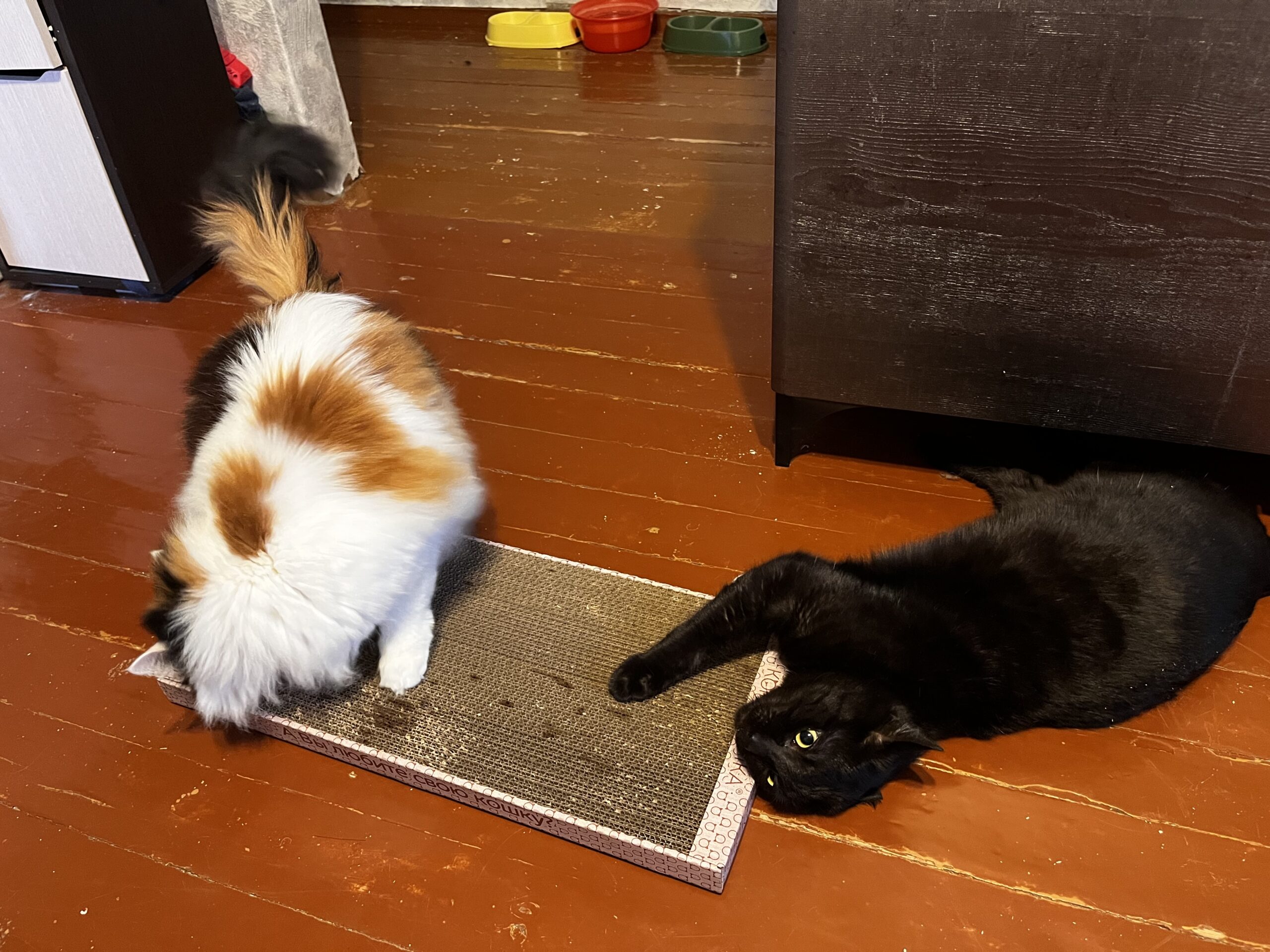 Мария, Серпухов