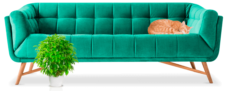 Когтедралка