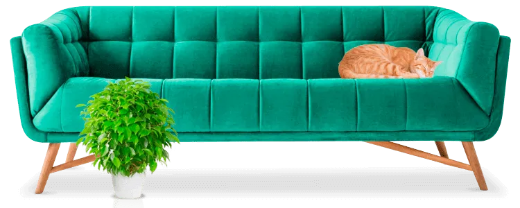 Когтедралка